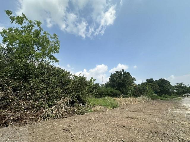 ให้เช่าที่ดิน 10 ไร่ 3 งาน ถนนรามคำแหง ติดแยกสุวินทวงศ์ ใกล้รถไฟฟ้าสายสีชมพู ใกล้ Big C สุขาภิบาล 3ราคาเช่า 300,000 บาท / เดือนที่ตั้ง ถนนรามคำแหง แขวงแสนแสบ เขตมีนบุรี กรุงเทพมหานครติดต่อ : คุณภัสพงณ์ 0634098164Line : deedee23https://www.facebook.com/profile.php?id=61581484955548เนื้อที่ 10 ไร่ 3 งาน 8 ตารางวา หน้ากว้าง 72 เมตร ลึก 218 เมตรที่ดินผังสีส้ม ทำเลดี ติดแยกสุวินทวงศ์เหมาะสำหรับ- โครงการ Mixed-use- ปั๊มน้ำมัน / EV Charging- Showroom / Flagship Store- 