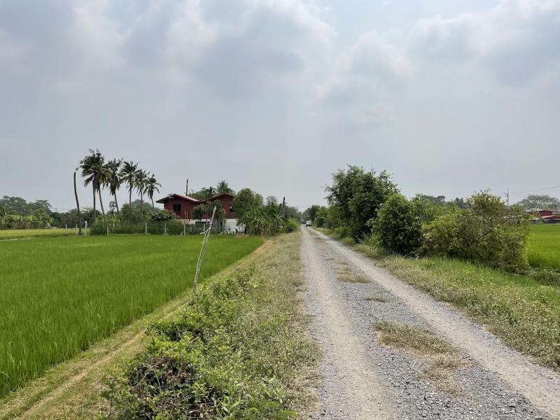 ขายที่ดินเปล่า ทำเลดี อำเภอคลองหลวง ปทุมธานีที่ตั้ง : คลองหกตะวันตก 47/2 &nbsp;ตำบล คลองหก อำเภอคลองหลวง ปทุมธานี 12120พิกัด :&nbsp;https://maps.app.goo.gl/XRwqMvM7GQBQioPT8ขนาดเนื้อที่ : 6 ไร่ 184 ตารางวารายละเอียด-รูปแปลงสวย สี่เหลี่ยมผืนผ้า (กว้าง 59 ม. x ลึก 176 ม.)-ห่างถนนทางหลวงชนบท ปท 4001 เพียง ~70 เมตร-มีทางสาธารณะเข้าถึงได้ 2 ด้านสถานที่ใกล้เคียง- วัดผลาหาร 350 เมตร- โรงพยาบาลคลองหลวง 3 กิโลเมตร- วัดปัญญานันทาร