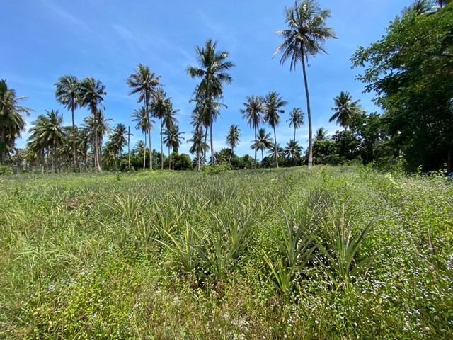   ขาย บ้านเดี่ยว/ทาวน์เฮ้าส์/คอนโด โครงการ ขาย ที่ดินพร้อมสิ่งปลูกสร้าง อำเภอทับสะแก ประจวบคีรีขันธ์  ตำบลห้วยยาง อำเภอทับสะแก ประจวบคีรีขันธ์  ราคาโปรโมชั่น 10,641,000     บาท    ลดจาก  13,771,000     บาท ราคาโปรโมชั่นตั้งแต่วันที่  13 มีนาคม - 31 พฤษภาคม 2569  รายละเอียดทรัพย์ -  เนื้อที่ 40-1-56  ตารางวา   -  บ้านหันไปทางทิศ เหนือ  พิกัดทรัพย์ : https://maps.app.goo.gl/5dZ8rZyJCoQmacDq5  สถานที่ใกล้เคียง   -  ปั๊มคาลเท็กซ์ ห้