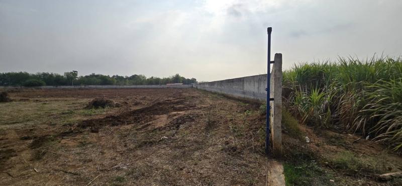 ขายที่ดินพร้อมสิ่งปลูกสร้าง ทำเลดี บรรยากาศร่มรื่นที่ตั้ง : ต.จรเข้สามพัน อ.อู่ทอง จ.สุพรรณบุรี 72160ขนาดเนื้อที่  : 9 ไร่ 1 งาน 94 ตารางวารายละเอียด-โฉนดครุฑแดง-ที่ดินล้อมรั้วเรียบร้อย-มีบ่อน้ำบาดาล -บ้าน 2 ชั้น ขนาด 8×10 เมตร    (กำลังก่อสร้าง)เหมาะสำหรับ-ทำรีสอร์ท / บ้านพักตากอากาศ-โกดัง / การเกษตร / ลงทุนระยะ   ยาว-โรงงานจุดเด่น-ใกล้ที่ว่าการอำเภออู่ทอง และหน่วยงานราชการ-�