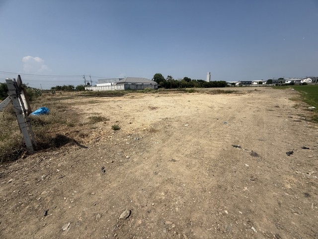  MT199 : ขายที่ดินถมแล้ว แปลงสวย ทำเลศักยภาพสูง-เนื้อที่ 1 ไร่ หน้ากว้าง 33 ม. ลึก 48 ม.-ผังสีส้ม พัฒนาได้หลากหลายเหมาะสำหรับ:-สร้างบ้านหรู / โครงการที่อยู่อาศัย-สำนักงาน-อพาร์ทเม้นท์-คลังสินค้าถนนบางนาตราด กม.26 ฝั่งขาออก ทางเข้า ม.เอแบคบางนา เพียง 3 กม. ซอยบางนาการ์เด้น 7 ถนนเสาธงสามัคคี ติดถนนสาธารณะเดินทางสะดวก เข้า-ออกได้หลายเส้นทางถนนบางนา-ตราด 3 กม.ทางด่วนบูรพาวิถี�