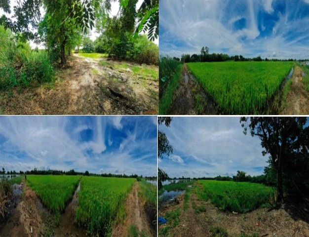   ขาย บ้านเดี่ยว/ทาวน์เฮ้าส์/คอนโด โครงการ ขาย ที่ดินเปล่า อำเภอบางไทร พระนครศรีอยุธยา   ตำบลสนามชัย อำเภอบางไทร พระนครศรีอยุธยา  ราคาโปรโมชั่น  9,506,000     บาท    ลดจาก   10,457,000    บาท ราคาโปรโมชั่นตั้งแต่วันที่  13 มีนาคม - 31 พฤษภาคม 2569  รายละเอียดทรัพย์ -  เนื้อที่ 18-1-12  ตารางวา    -  บ้านหันไปทางทิศ  ตะวันออกเฉียงใต้  พิกัดทรัพย์ : https://maps.app.goo.gl/m8vJ73ZLEuDNSV668  สถานที่ใกล้เคียง   -  วัดสุนทราราม (ห่อหม�