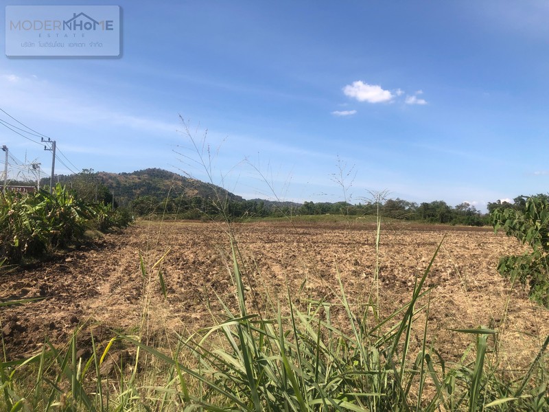 ขายที่ดิน 69 ไร่ ตำบลนาเฉลียง อำเภอหนองไผ่ เพชรบูรณ์
