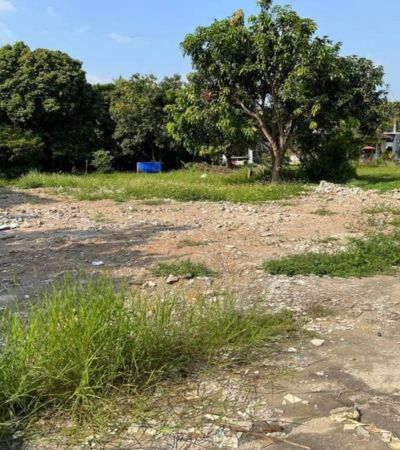 ขาย 7.5 ล้านบาท* ที่ดิน 282 ตร.ว. ซอยสุขสัญจร 13 ใกล้เทศบาลฟ้าฮ่าม อ.เมืองเชียงใหม่ ราคาดีมาก ทำเลแบบนี้.เนื้อที่ 282 ตารางวาเหมาะสำหรับ สร้างบ้าน พลูวิลล่า หอพัก หรือที่อยู่อาศัยซื้อไว้ลงทุน อนาคตกำไรเหลือๆการเดินทางสะดวก เข้าออกได้หลายทาง. ซอยสุขสัญจร 13 - ใกล้ตลาดขะจาว 3 นาที- ใกล้เซ็นทรัลเฟสติวัล เชียงใหม่ 8 นาที- ใกล้โรงพยาบาลเทพปัญญา 5 นาที- รวมโชคมอลล์ 8 นาที- ถนนนิม