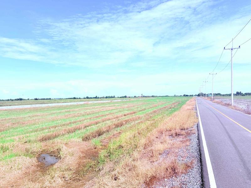 ขายที่ดินเปล่า ขนาดใหญ่  ราคาดี ทำเลบางเลน จ.นครปฐมที่ตั้ง : ตำบลนิลเพชร อำเภอบางเลน จังหวัดนครปฐม 73130พิกัด: https://maps.app.goo.gl/QkK761YrtJjxP3mH6ขนาดเนื้อที่ : 21 ไร่ 3 งาน 27 ตารางวารายละเอียดที่ดินแปลงใหญ่ เข้าถึงง่าย มีถนนผ่านหน้าที่ดิน ไฟฟ้าเข้าถึงบรรยากาศเงียบสงบ รายล้อมด้วยธรรมชาติ เหมาะสำหรับทำ -ฟาร์ม-โกดัง-โรงงาน-โครงการจัดสรร-บ้านสวน- รีสอร์ท หรือเพื่อการลงทุนในอนาคตสถานที�