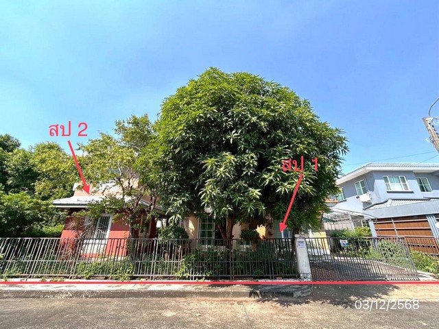   ขาย บ้านเดี่ยว/ทาวน์เฮ้าส์/คอนโด โครงการ บ้านปาริชาตถนน คุ้มเกล้า แขวง ลำปลาทิว เขตลาดกระบัง จังหวัด กรุงเทพมหานคร  ราคาโปรโมชั่น  4,209,000    บาท    ลดจาก   5,880,000   บาท ราคาโปรโมชั่นตั้งแต่วันที่ 1 เมษายน 2569 – 30 มิถุนายน 2569  รายละเอียดทรัพย์ -  เนื้อที่ 78.40 ตร.ว.  พื้นที่ใช้สอย 165.00 ตร.ม. -  4 ห้องนอน 3 ห้องน้ำ  -  1 ที่จอดรถ  -  บ้านหันไปทางทิศ ตะวันออกเฉียงใต้  พิกัดทรัพย์ : https://maps.app.goo.gl/GW3u2XTGgH3D5DYw9  สถา�
