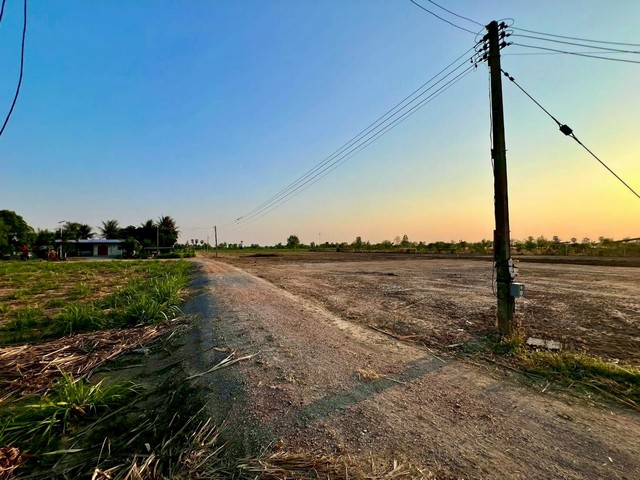 พื้นที่ดิน -   279000 THAI BAHT  area 1 ไร่ 0 งาน 0 ตร.วา สภาพแวดล้อมดี ถมแล้ว ถูกมาก น้ำไม่ท่วง น้ำไฟหน้าแปลง 
