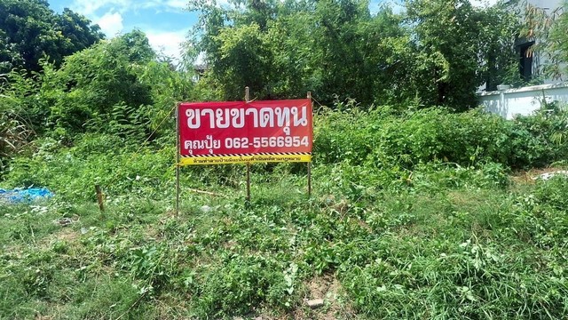 ขายที่ปลูกบ้านสมุทรปราการ  ซอยจตุรโชคชัย 3/6  ที่เปล่าถมแล้ว