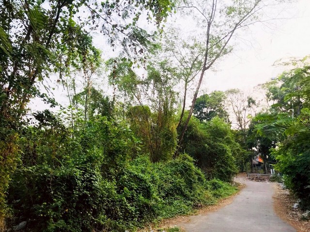 ขายที่ดิน 208 ตรว. นวมินทร์ 24 (ซอยอุเทน 8)  ที่ติดริมน้ำ ใกล้สวนนวมินทร์ภิรมย์*** ราคาพิเศษสุดเหลือ 6,890,000 บาท (จาก 10 ล้านบาท) ติดต่อ::  ชยา โทร/ID Line:: 0942823961   Link Line:: https://line.me/ti/p/3xFA1An8Kcรหัส# T26-812 ที่ดินนวมินทร์ 24 (ซอยอุเทน 8) ที่ติดริมน้ำ ใกล้สวนนวมินทร์ภิรมย์• ขนาด 208 ตรว.• หน้าที่ดินกว้างประมาณ 27 เมตร • ที่ติดริมน้ำ ถนนนวมินทร์ 24 ซอย 8 แยก 2 • อยู่ใกล้สถานีรถไฟฟ้า สายสีน้ำตาล สถานี นวมินทร์ภิรมย์ เพ