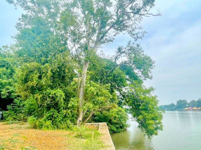 110 ตร.ว.3,640 ตร.ม. ใกล้วัดหลุมดิน 350 ม. ทำเลสวยบรรยากาศดี14,999 B-M.  ร่มรื่น ติดชุมชน อากาศปลอดโปร่งโรงแรม รีสอร์ต  เหมาะสำหรับพัฒนาเป็นร้านอาหารริมน้ำ คาเฟ่ หรือธุรกิจท่องเที่ยว ใกล้รพ.สต.หลุมดิน 400 ม. ตลาด สถานศึกษา และท่าน้ำแม่กลอง เดินทางสะดวก เชื่อมต่อเข้าสู่ตัวเมืองราชบุรีได้อย่างรวดเร็วที่ดินริมแม่น้ำแม่กลอง 2ไร่Riverside land on the MaeKlong River 2rai 110sq.wa. 3,640sq.m. 350m.  Rental price 14,999 THB/month. Beautiful riverside setting with a pe