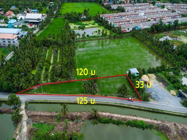 ขายด่วน! ที่ดินติดถนน 1 ไร่ 47 ตร.วา หน้ากว้างติดถนนถึง 120 เมตร ทำเลดีเข้า-ออกได้ทั้งพุทธมณฑลสาย 4 และพุทธมณฑลสายสาย 5 เพียง 1.5 กิโลเมตร น้ำไฟพร้อม!.TPI-3172.ที่ตั้งและแผนที่ที่ตั้ง: ตำบลบางกระทึก อำเภอสามพราน จังหวัดนครปฐมพิกัด: Q858+JP8แผนที่: https://maps.app.goo.gl/jddjtxYUMcfunCseAการเดินทาง: เข้า-ออกสะดวกสบายได้ 2 เส้นทางหลัก ทั้งถนนพุทธมณฑลสาย 4 และพุทธมณฑลสาย 5 (ห่างจากถนนหลักเพียง 1.5 กิโลเมตร).ราย�