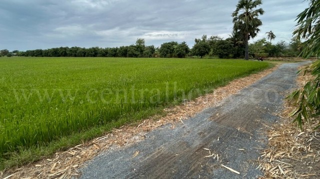 รหัสทรัพย์ : N0753&nbsp;ที่ดิน 9 ไร่ 3 งาน 99.5 ตร.วา สวนแตง สุพรรณบุรี&nbsp;ที่ตั้ง : ตำบลดอนโพธิ์ อำเภอเมืองสุพรรณบุรี จังหวัดสุพรรณบุรี 72000&nbsp;รายละเอียดทรัพย์&nbsp;-&nbsp;ที่ดิน 9 ไร่ 3 งาน 99.5 ตารางวา&nbsp;ด้านกว้างสุด 140 เมตร ลึก 180 เมตร- ปัจจุบันให้เช่าทำนา เลี้ยงปลา 10,000 ต่อปี สามารถให้เช่าต่อได้-&nbsp;ขุดบ่อไว้พักน้ำสำหรับใช้ทำนา เลี้ยงปลา, ปลูกต้นมะม่วง-&nbsp;ติดถนนทางสาธารณะ 2 ฝั่ง มีทางเดินรอบท