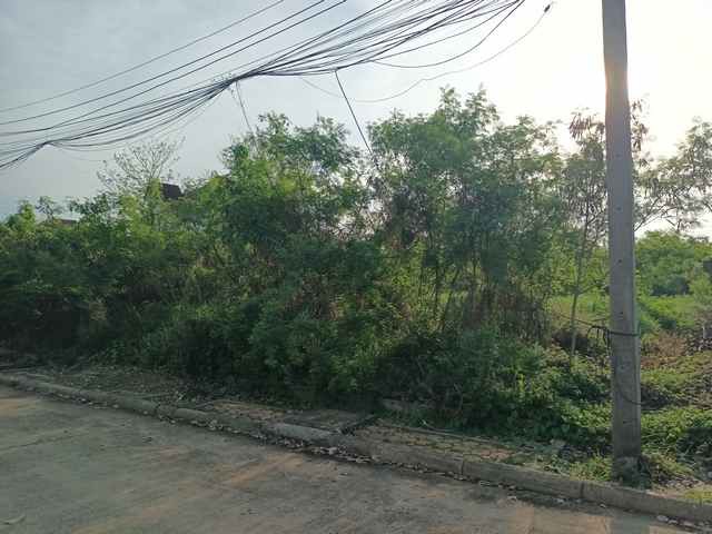 ขาย ที่ดินเปล่า หมู่บ้านกฤษดานคร 27 สามพราน เนื้อที่ 100 ตร.ว. ใกล้มหาวิทยาลัยมหิดล ศาลายา ราคา 2.19 ล้านบาทที่ดินเปล่าในโครงการหมู่บ้านกฤษดานคร 27 อำเภอสามพราน จังหวัดนครปฐม เนื้อที่ 100 ตารางวา เหมาะสำหรับปลูกสร้างบ้านพักอาศัยหรือซื้อเพื่อการลงทุนในอนาคต ทำเลเงียบสงบ เดินทางสะดวก ด้านหน้าแปลงติดถนนภายในโครงการ ด้านข้างและด้านหลังติดที่ดินแปลงอื่น ให้ความเป