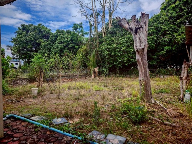 ขายที่ดินเปล่า ตรว.ละ 22,000 บาท 87 ตรว. ทำเลดี ในโครงการ #ชัยพฤกษ์ #Land&House #แม่โจ้ เหมาะสร้างบ้านพักอาศัย บ้านปล่อยเช่า หรือซื้อเก็บลงทุนในอนาคตขนาดที่ดิน 87 ตารางวาราคาพิเศษ ตารางวาละ 22,000 บาทราคารวมเพียง 1,914,000 ล้านบาทฟรีค่าโอนที่ดินแปลงสวย บรรยากาศเงียบสงบอยู่ในโครงการคุณภาพ ถนนกว้าง เข้า-ออกสะดวกน้ำไฟเข้าถึง พร้อมสร้างได้ทันทีสิ่งอำนวยความสะดวกภายในโครงการระบ�