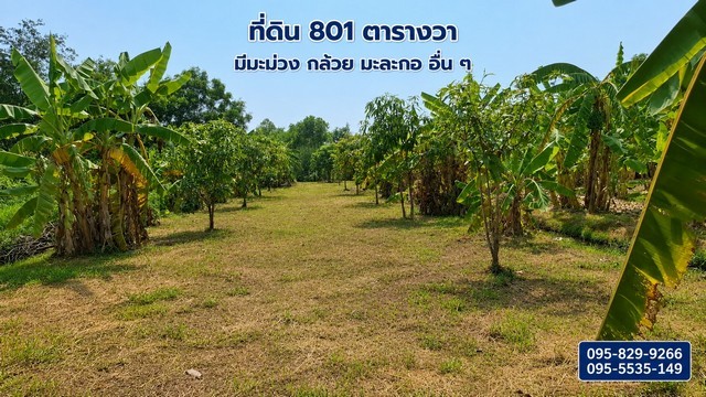 ที่ดินถมแล้ว 2-0-01ไร่ อยู่ในโครงการ เวลเนสซิตี้  (Wellness City) หรือปัจจุบันคือโครงการ Wellness World ตั้งอยู่ที่อำเภอบางไทร จังหวัดพระนครศรีอยุธยา เป็นเมืองสุขภาพและที่พักวัยเกษียณ ก่อตั้งโดย นายแพทย์บุญชัย อิศราพิสิษฐ์ มุ่งเน้นการแพทย์บูรณาการ โดยเฉพาะการรักษาโรคเรื้อรัง (NCDs) โรคไต และมะเร็ง ด้วยวิธีธรรมชาติบำบัด เปลี่ยนอาหารให้เป็นยาตำแหน่ง: โครงการ เวลเนสซิตี้ พาราไ�
