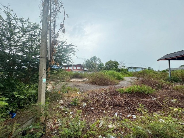 ขายที่เปล่าติดแม่น้ำแม่กลองที่เปล่าติดถนนราษฎร์ประสิทธิ์ ที่ดินบางจะเกร็งสมุทรสงคราม ต.บางจะเกร็ง อ.เมือง จ.สมุทรสงคราม รายละเอียด- เนื้อที่ 2 ไร่ 2 งาน 31 ตารางวา- โฉนด 1 ใบ- ผังเมืองสีส้มสถานที่ใกล้เคียง- หน้ากว้างติดถนนราชประสิทธิ์ 4 เมตร- หน้ากว้างติดแม่น้ำแม่กลอง 12 เมตร- ห่างจากโรงเรียนดรุณานุกูล 100 ม.- ห่างถนน ธนบุรีปากท่อ 300 เมตร- ห่างโรงเรียนสารสาสน์ 700 ม.- ห่าง