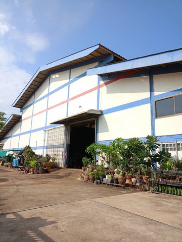ขายโรงงานขนาด 2900 ตรม. บางโทรัด สมุทรสาครรหัสทรัพย์: FS231(กรุณาใช้รหัสนี้ในการสอบถาม FS231)เนื้อที่ทั้งหมด 4-1-60 ไร่มีออฟฟิศ 2 ชั้นมีหอพัก 4 ชั้นมีใบรง.4 เกี่ยวกับโรงกลึงหม้อแปลง 315 KVAรถเทรลเลอร์เข้าออกได้พิกัด : ต.บางโทรัด อ.เมือง จ.สมุทรสาครราคาขาย 45,000,000 บาทTel: 062-6284052 (Thai)Line ID: 0626284052Tel: 085-1498866 (Chinese, English)Line ID: 0851498866Wechat: zhou20171188Facebook Fanpage: JLT Real Estate ซื้อ/ขาย/เช่า โรงงาน บ้าน ที่ดิน อสังหาริมทรัพย์ทุกชนิด