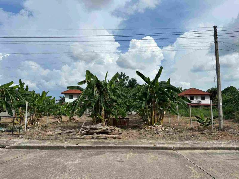 ขายที่ดิน 108 ตร.ว.