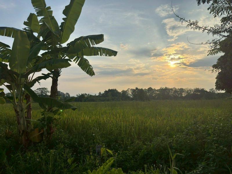 ขายที่ดินสวย บ้านร้องขี้เหล็ก ติดถนน ติดน้ำไหลตลอดปี ทำเลศักยภาพสูง (วงแหวนรอบ 4 ตัดผ่านที่ดิน)ที่ตั้ง : ต.เชิงดอย อ.ดอยสะเก็ด จ.เชียงใหม่ 50220ขนาดเนื้อที่ : 2 แปลง : 6 - 3 - 77 ไร่ รายละเอียด-โฉนดพร้อมโอน-หน้ากว้างติดถนนและลำน้ำยาวประมาณ 150 เมตร-ที่ดินติดถนน เข้า-ออกสะดวกหลายเส้นทาง-ห่างถนนเชียงใหม่–เชียงราย เพียง 900 เมตร-บรรยากาศดี ธรรมชาติร่มรื่น น้ำไหลตลอดปี-เหมาะสร้�