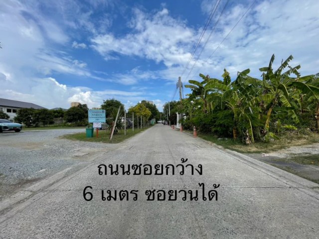 ขายที่ดิน แบริ่ง 31/1 สุขุมวิท 107 ใกล้ถนนแบริ่ง เนื้อที่ 260 ตรว.T.384ที่ตั้ง : แบริ่ง ซ.31/1 ต.สำโรงเหนือ อ.เมืองฯ จ.สมุทรปราการ 10270รายละเอียด-เนื้อที่ : 260 ตร.ว.-ทิศหน้าทรัพย์ : ทิศเหนือ-ทำเล : (โซนบี) ศรีนครินทร์-แบริ่ง- รูปที่ดินสี่เหลี่ยมผืนผ้ากว้างประมาณ 19.1 เมตร ลึกประมาณ 51.5 เมตร- ที่ดินถมเรียบร้อย ถมไว้นาน ดินแน่น- เหมาะสร้างบ้าน ออฟฟิศ อพาร์ทเม้นท์- แวดล้อมสวย สะอาด ส่วนใหญ่เป็