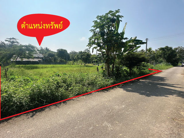 ที่ดินเปล่าถมแล้ว ราคาถูกมาก เดินทางสะดวก เนื้อที่ 166 ตารางวา ตำบลเชิงดอย อำเภอดอยสะเก็ด จังหวัดเชียงใหม่ข้อมูลทรัพย์ http://tnyurl.au/SC5521รหัสทรัพย์ KRSC55021ที่ดินเปล่าเหมาะสำหรับปลูกบ้านอาศัย บ้านตากอากาศ ใกล้หนองบัวพระเจ้าหลวง ตัวที่ดินสวยงามและเงียบสงบ ห่างจากถนนเชียงใหม่-ดอยสะเก็ด เพียง 2 กิโลเมตร  อยู่ในแหล่งชุมชนไม่พลุกพล่าน นอกจากนี้ยังมีร้านอาหาร และร้านกาแ