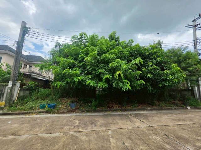 sss552 ขายที่ดิน หมุ่บ้าน กฤษดากร 18 ถนนพุทธมณฑลสาย 3ที่ตั้ง ซอยอัญมณี40/1 ถนนบรมราชชนนี ถนนพุทธมณฑล 3 แขวงศาลาธรรมสพน์ เขตตลิ่งชัน กรุงเทพมหานคร ที่ดินขนาด 71 ตารางวาหน้ากว่างประมาณ 18.55 เมตรสถานที่ใกล้เคียงสถานศึกษา : มหาวิทยาลัยมหิดล เทคโนโลยีราชมงคลรัตนโกสินทร์ โรงเรียนอัสสัมชัญธนบุรี โรงเรียนสาธิตมหิดลอนุสรณ์ โรงเรียนนวมินทราชูทิศสตรีวิทย์ โรงพยาบาล : โรงพยา�