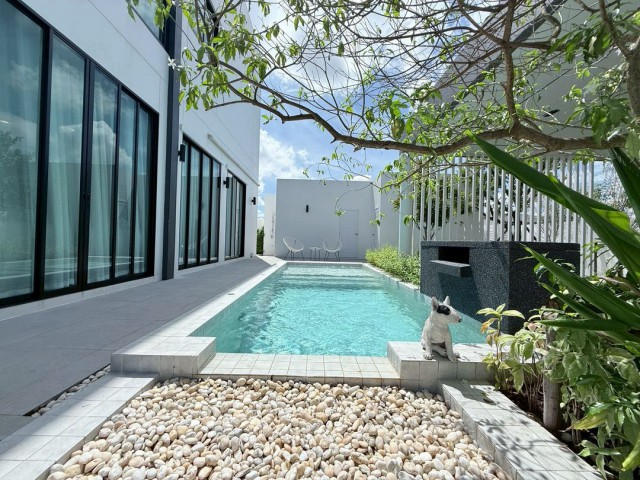 https://youtu.be/xsJZkD6yRvAราคาพิเศษเพียง 10.59 ล้าน #โซนหางดง Modern Pool Villa 2 ชั้น #บ้านมุม หลังสุดท้าย! #บิวท์อินทั้งหลัง จัดเต็มเฟอร์นิเจอร์และเครื่องใช้ไฟฟ้า เข้าอยู่ได้ทันที ไม่ต้องแต่งเพิ่ม – ใกล้เมือง #น้ำไม่ท่วมที่ดิน 85.7 ตารางวาพื้นที่ใช้สอย 280 ตารางเมตร5 ห้องนอน 4 ห้องน้ำห้องแม่บ้านพร้อมห้องน้ำในตัว 1 ห้องห้องเก็บของข้างห้องแม่บ้าน 1 ห้องสระว่ายน้ำระบบเกลือ แบบ Overflowจอดรถได้ 2–3 คั�