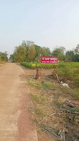 ขายที่ดินวิวภูเขา กาญจนบุรีที่ดิน ต.กลอนโด อ.ด่านมะขามเตี้ย ทำเลดี เหมาะทำบ้านสวน รีสอร์ท หรือเก็บไว้ลงทุนที่ตั้ง: ต.กลอนโด อ.ด่านมะขามเตี้ย จ.กาญจนบุรีขนาด: 21 ไร่ 75 ตารางวาเอกสาร: มีโฉนด พร้อมโอนจุดเด่น:• ติดทางสาธารณะ 2 ด้าน• ห่างจากถนนหลักและแม่น้ำกรองเพียง 200 เมตร• ที่ดินถมแล้ว พร้อมใช้งาน• วิวภูเขาสวย บรรยากาศธรรมชาติราคาขาย: ไร่ละ 390,000 บาทสนใจติดต่อ คุณปุ้