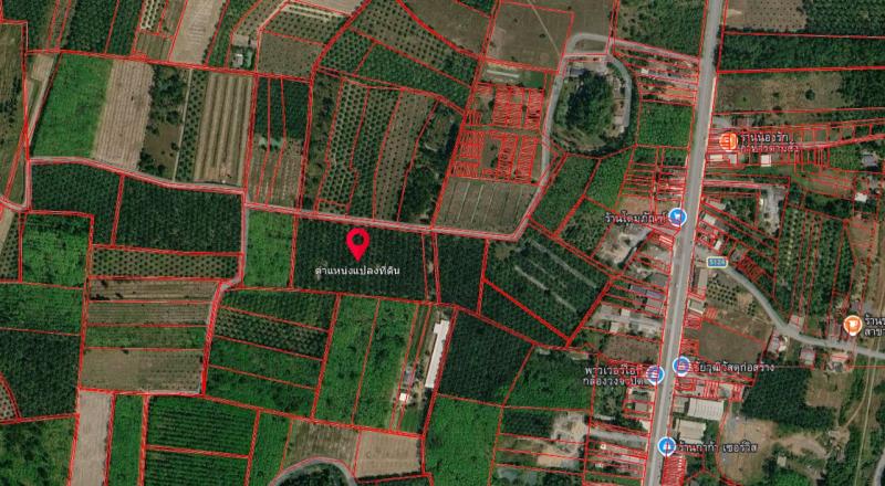 ขายที่ดินเปล่าพร้อมสวนปาล์ม  13 ไร่ ทำเลดี อำเภอรัษฎา จังหวัดตรังที่ตั้ง : ตำบลควนเมา อำเภอรัษฎา จังหวัดตรัง 92160พิกัด : https://maps.app.goo.gl/dhjhWfuHiJ57xkVUAขนาดเนื้อที่ : 13 ไร่ รายละเอียด-ที่ดินเปล่าพร้อมสวนปาล์มน้ำมัน-พื้นที่เหมาะสำหรับทำการเกษตร หรือพัฒนาต่อยอดเป็นสวนผสม-บรรยากาศเงียบสงบ อากาศดี-การเดินทางสะดวก เข้า-ออกได้ง่าย-เหมาะสำหรับลงทุนระยะยาว หรือซื้อไว้เก็บมูลค่าจุ�