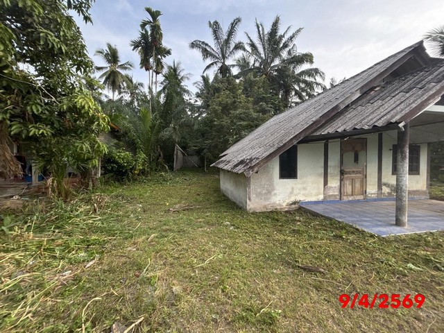 ขายบ้านเดี่ยวสุราษฎร์ธานี   อำเภอชัยบุรี  ถนน สายบ้านคลองศอก - บ้านคลองพัง ราคาโปรโมชั่น  ถนน สายบ้านคลองศอก - บ้านคลองพัง ตำบล สองแพรก อำเภอ ชัยบุรี จังหวัด สุราษฎร์ธานี  ราคาโปรโมชั่น  1,677,000  บาท    ลดจาก  2,329,000   บาท ราคาโปรโมชั่นตั้งแต่วันที่ 1 เมษายน 2569 – 30 มิถุนายน 2569  รายละเอียดทรัพย์ -  เนื้อที่ 265.00 ตร.ว.  พื้นที่ใช้สอย 91.35 ตร.ม. -  1 ห้องนอน 1 ห้องน้ำ   -  1 ที่จอดรถ  -  บ้านหันไปทางทิ�
