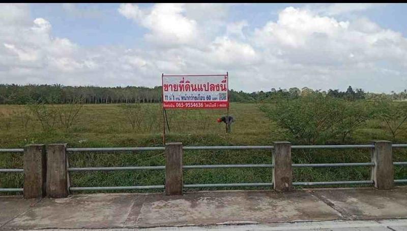 ขายที่ดินเปล่า ใกล้แหล่งรพ. ห้าง และโรงเรียน อำเภอเมืองนครศรีธรรมราชที่ตั้ง : ตำบลมะม่วงสองต้น อำเภอเมืองนครศรีธรรมราช จังหวัดนครศรีธรรมราช 80000พิกัด : https://maps.app.goo.gl/JbiJ3ZDy36GDnE3Y8ขนาดพื้นที่ : ขายที่ดิน 11 ไร่กว่ารายละเอียดขายที่ดินเปล่า ใกล้แหล่ง โรงพยาบาล,ห้าง และโรงเรียน กว้าง 55 เมตร ที่สวย ราคาถูกมากกกก ใช้ทางลัด ห่างจากรพ.มหาราชไม่ถึง 3 นาที สามารถเข้าออกได้ทั้งหน้าแ