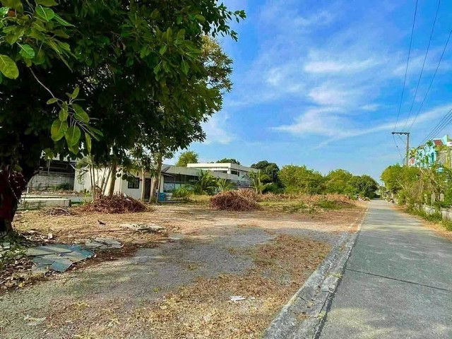 ขายต่ำกว่าราคาประเมิน ที่ดินสร้างโรงแรม 2-2-48 ไร่ ติดถนนสุขุมวิท ใจกลางเมืองระยองขายยกแพงเพียง 55,000,000 บาท(ราคาประเมินกรมธนารักษ์ ตร.ว.ละ 53,000 บาท)ที่ดินพื้นที่สีแดง : เขตพาณิชกรรมที่ดินหน้ากว้าง 27 เมตร ลึก 150 เมตร- ติดถนน 2 ข้าง- ติดถนนสุขุมวิทสถานที่ใกล้ สรรพากรเมือง2ใกล้ คลังน้ำมัน IRPCใกล้ ไทยวัสดุ ระยอง 3 กม.ใกล้ เซ็นทรัลระยอง 5 กม.ใกล้ หาดแหลมรุ่งเรือง 6 กม. (ถ.เลียบชายฝั�