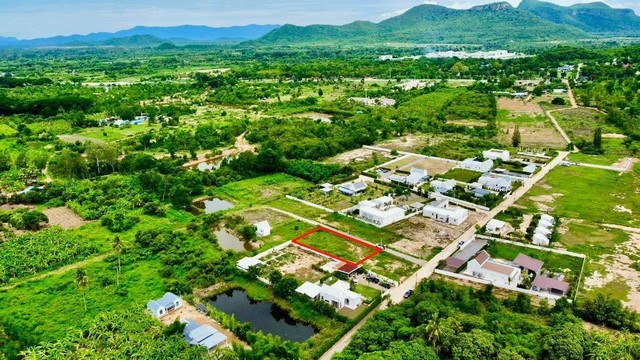 ที่ดินจัดสรร แก่งกระจาน เพชรบุรี  เป็นที่ดินจัดสรร พื้นที่ 200 ตร.ว. ในโครงการสร้าง พูลวิลล่า ให้เช่า และบ้านอยู่อาศัย หลายหลัง มีเพื่อนบ้าน บรรยากาศดี อากาศดี วิวภูเขาล้อมรอบ   อยู่ใกล้ตัวเขื่อนแก่งกระจานเพียง 12 ก.ม.   ไม่ไกลจากกรุงเทพ การเดินทางสะดวกสบาย สามารถลงทุนทำธุรกิจได้ด้วย     #พิกัดตำแหน่ง - ตำบล วังจันทน์ -อำเภอ แก่งกระจาน -จังหวัด เพชรบุรี     https://maps.app.goo.gl/92YJGuz4