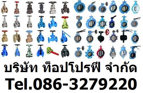 บริษัท ท็อป โปรฟี จำกัด ก่อตั้งขึ้นด้วยความมุ่งมั่นที่จะเป็นผู้นำเข้าสินค้าจากต่างประเทศ และ จัดหาสินค้าภายในประเทศ ที่มีคุณภาพ และราคาถูกเพื่อตรงตามความต้องการของลูกค้า เช่น ข้อต่อ (Fitting), หน้าแปลน (Flange), ท่อ (Pipe) ,วาล์ว (Valve) , Strainer , Sight Glass , Filter, Valves , Rotating Equipment และเหล็กโครงสร้าง โดยครอบคลุมธุรกิจทั้งทางด้านปิโตรเคมี กระดาษ ปูนซีเมนต์ โรงไฟฟ้า อิเล็กโทรนิค เหล็ก และอุตสาหกร