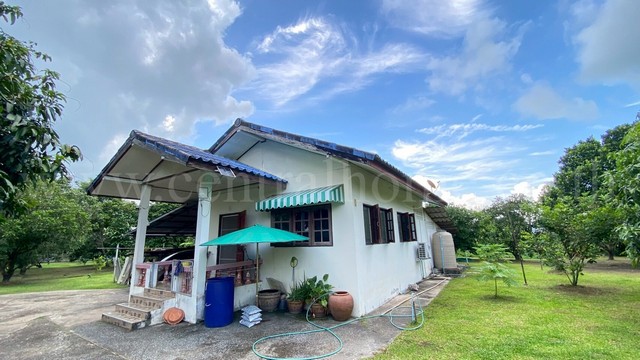 รหัสทรัพย์&nbsp; 6196บ้านสวน&nbsp;ชั้นเดียว 2-3-97 ไร่ วังกระโจม นครนายกที่ตั้ง :&nbsp;ถนนโยธาธิการ ตำบลวังกระโจม อำเภอเมืองนครนายก จังหวัดนครนายก 26000รายละเอียดทรัพย์- บ้านเดี่ยว ชั้นเดียว&nbsp;พื้นที่ใช้สอย 100 ตารางเมตร- ที่ดินขนาดพื้นที่ 2 ไร่ 3 งาน 97 ตารางวา&nbsp;- 1 ห้องนอน, 2&nbsp;ห้องน้ำ, 1&nbsp;ห้องครัว, 1 ห้องรับแขก, 2&nbsp;ที่จอดรถ- แอร์ 1 เครื่อง- พื้นกระเบื้อง- หน้าบ้านหันทางทิศเหนือทำเลและสถานท�