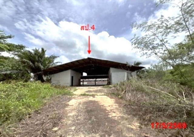 ขาย บ้านเดี่ยว/ทาวน์เฮ้าส์/คอนโด โครงการ โรงงาน กระบี่  ถนน เพชรเกษม(ทล.4) ตำบล คลองพน อำเภอ คลองท่อม จังหวัด กระบี่  ราคา   31,666,000    บาท  (ราคาต่อรองได้)  รายละเอียดทรัพย์ -  เนื้อที่ 15-3-9.00 ไร่  พื้นที่ใช้สอย พื้นที่ใช้สอย 299.247 ตร.ม  พิกัดทรัพย์ : https://maps.app.goo.gl/5iQvk18JEc1Eupaq7  สถานที่ใกล้เคียง   -โรงเรียนสฤษดิ์พิทยา -โรงเรียนบ้านคลองแรด  รหัสทรัพย์ (Code ID)  : PKK-26-09-00916   สอบถามเพิ่มเติม / นัดชม โทร. 096-932-4624 (ออ�