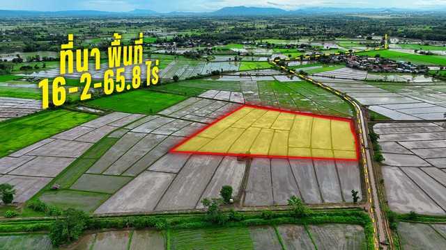 ขายที่นา บ้านสันป่าจี้ หมู่ที่ 3 ต.แม่ข้าวต้ม อ.เมือง จ.เชียงรายเนื้อที่รวม: 16 ไร่ 2 งาน 65.8 ตารางวาที่นาคุณภาพดี สภาพคล่องสูง เหมาะสำหรับผู้ที่ต้องการทำนา ทำการเกษตร หรือนักลงทุนที่ต้องการสะสมที่ดินเพื่อสร้าง Passive income จากการปล่อยเช่าจุดเด่นของที่ดิน:* ติดคลองชลประทาน มีน้ำทำนาและทำการเกษตรได้ตลอดทั้งปีหมดกังวลเรื่องภัยแล้ง* เดินทางเข้า-ออกสะดวกสบาย ด้วยถนนเ