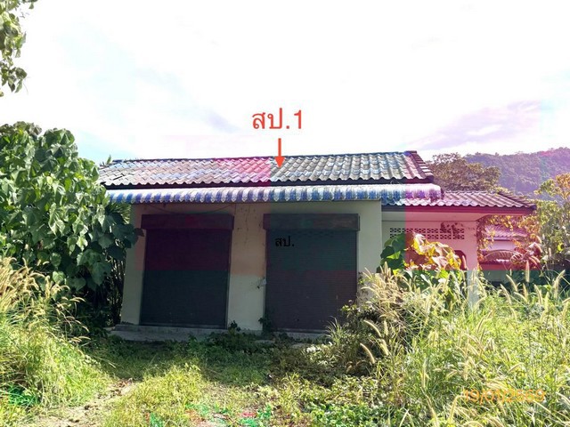 ขายบ้านเดี่ยวสุราษฎร์ธานี อำเภอกาญจนดิษฐ์    ถนน สายบ้านใน-บ้านในอ่าว  ตำบล คลองสระ อำเภอ กาญจนดิษฐ์ จังหวัด สุราษฎร์ธานี  ราคาโปรโมชั่น  2,607,000   บาท    ลดจาก  3,621,000  บาท ราคาโปรโมชั่นตั้งแต่วันที่ 1 กรกฎาคม 2569 – 30 กันยายน 2569  รายละเอียดทรัพย์ -  เนื้อที่ 218.00 ตร.ว.  พื้นที่ใช้สอย 201.00 ตร.ม. -  2 ห้องนอน 1 ห้องน้ำ   -  1 ที่จอดรถ  -  บ้านหันไปทางทิศ ตะวันตก  พิกัดทรัพย์ :  https://maps.app.goo.gl/MCnoR8ADCzSE6DTHA  สถานที่ใ