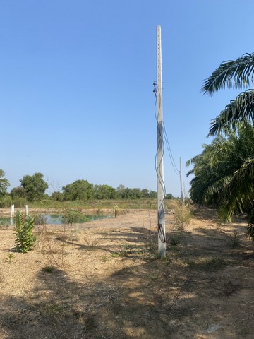 ขายที่ดินคลอง 12 ธัญบุรี จังหวัดปทุมธานี มีทั้งแปลงย่อยและผืนใหญ่ เหมาะสำหรับผู้ซื้อเพื่อปลูกบ้าน ทำโกดัง ทำการเกษตร หรือซื้อเพื่อเก็บลงทุนในอนาคตรายละเอียด- แปลงหมายเลข 7- แบ่งโฉนดแล้ว- 4 แปลง- แปลงละ 1 ไร่ราคาขาย 1590000 บาทต่อไร่แปลงหมายเลข 8- โฉนดผืนเดียว- 4 ไร่- ยังไม่แบ่งโฉนด- ติดคลองด้านข้างราคา 1300000 บาทต่อไร่ขายรวม 5200000 บาทจุดเด่น- มีทั้งแปลงเล็กและแปลงใหญ่- ติด�