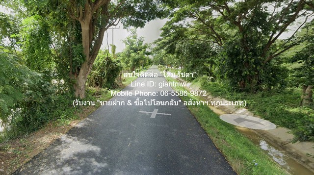 รหัสทรัพย์: DSL-1365Line ID: 0655869872 หรือ giantmw หรือ @yem0202nFacebook: https://bit.ly/3vdegO8Fanpage: https://bit.ly/488TrlDสนใจสั่งซื้อหนังสือ ALCPT ติดต่อตาม Contact ด้านบน: https://www.youtube.com/watch?v=rNYxsRQsEQghttps://www.youtube.com/watch?v=mfhKv9VnSp4&t=164s.ขายที่ดินทุ่งนา (ผังสีเขียว) 2-1-31 ไร่ อ.บ้านลาด จ.เพชรบุรี ราคา 5.82 ล้านบาท .รายละเอียดทรัพย์: 1. ที่ดินทุ่งนา (ผังเมืองสีเขียว) ติดถนนลาดยาง ต.ท่าเสน อ.บ้านลาด จ.เพชรบุรี เนื้อที่ 2-1-31  ไร่ (ใกล้ถนนเพชรเกษม)2. เอกสารสิทธิ์: โฉนด (น.ส.4 จ) และ�
