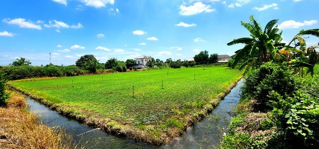 ขายที่ดิน 1ไร่ คลอง 12 หนองเสือ ติดถนน 2 ด้าน*** ขายราคาไร่ละ 1.59 ล้านบาท *** ( มีเนื้อที่ 1-0-0 ไร่ ) ขายที่ดินคลอง 12 หนองเสือ 1 ไร่ ติดถนน 2 ด้าน  เหมาะปลูกบ้านสวน ทำเกษตรพอเพียงได้ ทำโกดัง อยู่ใกล้แหล่งชุมชนที่ตั้ง:  ( เรียบคลอง12 หนองเสือฝั่งตะวันออก )  ตำบล หนองสามวัง อำเภอ หนองเสือ ปทุมธานี 12110ขายที่ดินเปล่า คลอง 12  หนองเสือ  ( มีทั้งหมด 3 แปลง )  -  กว้าง 32.34  เมตร     -  ลึก  49.74  เมตร    โฉนดพร้�