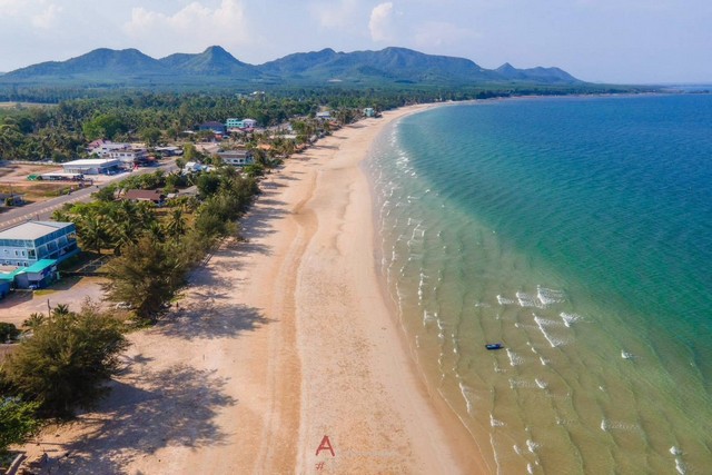 ที่ดินติดทะเล สะพลี จ.ชุมพร ใกล้ หาดทุ่งวัวแล่น ทำเลท่องเที่ยวเหมาะทำ รีสอร์ท / คาเฟ่ / บ้านพักตากอากาศ ขนาด 119 ตร.วา  5.5 ลบ. และ 145 ตร.วา 6.6 ลบ. 2 แปลงติดกัน 264 ตารางวา  ไฟฟ้า ประปาพร้อม  ใกล้สนามบินชุมพร 18 กม. ใกล้ตัวเมือง 19 กม.   ที่ดินติดทะเลหายาก รีบจับจองก่อนพลาด โอกาสครอบครองที่ดินติดทะเลแท้ ในทำเลท่องเที่ยวยอดนิยมของจังหวัดชุมพรรองรับการลงทุนระยะยาว พร้อมโครงสร้า�