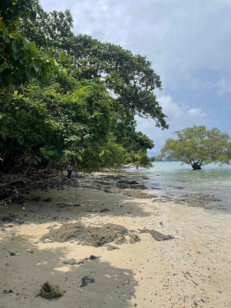 Vacant land for sale 35 Rai - prime location beachfront  Lon island, Phuket Whole Plot Sale – Investment OpportunityAsking Price:  THB 69 million Property DetailsLocation: Lon Island, Phuket, ThailandAccess: Approx. 10 minutes by long-tail boat from Chalong PierTotal land area: 35 RaiBeach frontage: approx. 370 metersNatural Seafront, quiet, private, untouchedLegal StatusNor Sor 3 title: 6 RaiSor Kor 1 document: 2 RaiPor tor bor 5 : 27 RaiSold as-is, suitable for experienced investorsInvestment HighlightsRare long beachfront on  islandClose to mainland PhuketIdeal for:-Eco Resort-Wellness / Retreat-Boutique ResortLong-term land banking-Attractive entry price compared to seafront land in Phuket-Full flexibility for future development planningTel. 098-4963252 (Owner)Line : 098-4963252WhatsApp : 089-9842141 Notes- Transfer fees and all applicable taxes shall be shared equally between the buyer and the seller (50:50)- Agents welcome. 3% commissionขายที่ดินเปล่�