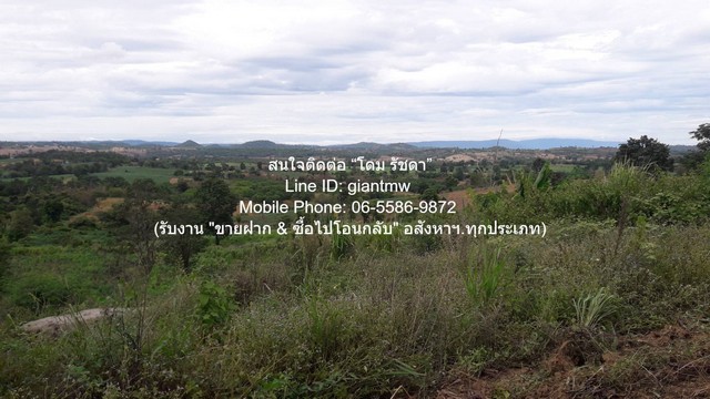 DSL-1246สนใจติดต่อ: โดม รัชดา (Exclusive Contract)โทร: 065-586-9872ไลน์ไอดี: 0655869872 หรือ giantmw หรือ @yem0202nFacebook: https://bit.ly/3vdegO8Fanpage: https://bit.ly/488TrlDพิเศษ: รับซื้อ-ขาย และจัดหารถยนต์มือ 2 ทุกรุ่น & ทุกงบประมาณ.ขายที่ดินบนเนินเขา 10-1-5 ไร่ (ใบอ่อน: ส.ป.ก./สร.5 ก.) วังน้ำเขียว นครราชสีมา ราคา 4,500,000 บาท (โอนฟรี).รายละเอียดทรัพย์: 1. ที่ดินเปล่าแปลงใหญ่ (เอกสารสิทธิ์: ใบอ่อน = ส.ป.ก./สร.5 ก. สามารถเปลี่ยนสิทธิในการครอบครองได้) มีเนื้อที่ 10-1-5 ไ