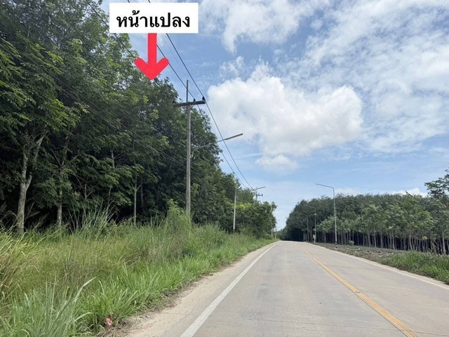 ขายที่ดิน 60-3-35 ไร่ ผังเมืองสีม่วงลาย ที่สวยเสมอ น้ำไม่ท่วม ศรีราชา ชลบุรีราคาไร่ละ 3.5 ล้านบาท(ผู้ขายรับผิดชอบค่าโอนค่าภาษี)รายละเอียด- จุดเด่น มีถนน 2 ด้านหัวแปลงท้ายแปลง- ที่สวยเสมอ น้ำไม่ท่วม- หน้าแปลงติดถนน8เมตร - หน้ากว้าง194 เมตร- น้ำ ไฟฟ้า3เฟส หน้าแปลงสถานที่ใกล้เคียง- ท่าเรือแหลมฉบัง38 กม.- ใกล้นิคมเหมราชใหม่ 3กม.- ใกล้นิคมอีสเทิร์นซีบอร์ด 4 กม.- ใกล้นิคมโรจนะ บ่�