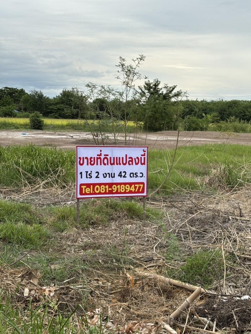 ขายที่ดินพร้อมบ้านพักตากอากาศ ทำเลทอง หนองน้ำแดง เขาใหญ่ นครราชสีมาที่ตั้ง : ตำบลหนองน้ำแดง อำเภอปากช่อง จังหวัดนครราชสีมาขนาดเนื้อที่ : 2 งาน 2 ตารางวารายละเอียดเอกสารสิทธิ์โฉนดครุฑแดงเป็นที่ดินจัดสรร พร้อมบ้านพักตากอากาศ 2 หลัง ห้องเก็บของอีกหนึ่งหลังเล็ก น้ำไฟพร้อมใช้งาน ทำเลดี ติดถนนสองฝั่ง หน้าบ้านและหลังบ้าน บรรยากาศดี ภูเขาล้อมรอบ อากาศดีทั้งป�