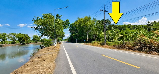 ขายที่ดินติดถนนเรียบคลอง 12 หนองเสือปทุมธานี ทำเลค้าขาย*** ขายราคาไร่ละ 1.35 ล้านบาท ***  ( มีเนื้อที่ 100ตรว  )ขายที่ดินติดถนนลาดยางเรียบคลอง 12 หนองเสือ วิวคลอง ติดถนน 2 ด้าน ทำเลดีเหมาะค้าขาย ร้านอาหาร บรรยากาศดี อยู่ใกล้แหล่งชุมชนที่ตั้ง:  ( เรียบคลอง12 หนองเสือฝั่งตะวันตก )  ตำบล หนองสามวัง อำเภอ หนองเสือ ปทุมธานี 12110ขายที่ติดคลอง 12  หนองเสือ ติดถนนลาดยาง ขนาด 100 ตรว - กว้าง 2