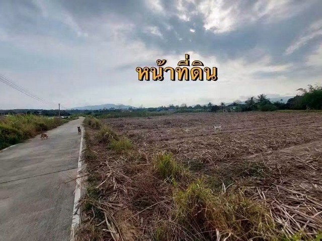 ขายที่ดิน แปลงสวย 6 ไร่ ทำเลทอง เขตพัฒนาเมือง บ้านบึง ชลบุรีราคาเพียง 2.2 ล้านบาท/ไร่ราคารวมทั้งแปลงเพียง 13.2 ล้านบาทจองวันนี้ ฟรีค่าโอนทันที!!จุดเด่นของที่ดินเนื้อที่ 6 ไร่ (ขายยกแปลง ไม่แบ่งขาย) ผังสีส้มแบ่งเป็น 2 โฉนด โฉนดละ 3 ไร่หน้าติดถนนคอนกรีต เดินทางสะดวกอยู่ใน ผังเมืองสีส้ม รองรับการพัฒนาเหมาะสำหรับ- โครงการบ้านจัดสรร- โรงงานขนาดเบา- ทำเกษตรสมัยใหม่- โกด