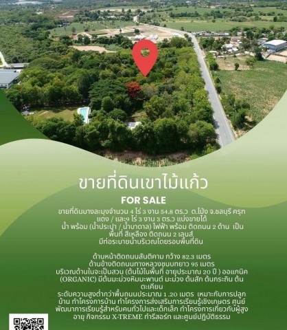 ขายที่ดิน ครุฑแดง(เขาไม้แก้ว) สามารถแบ่งขายได้ บางละมุง ชลบุรีราคาไร่ละ 5.2  ล้านบาทครุฑแดง เนื้อที่ 4 ไร่ 3 งาน 54.8 ตร.ว และ เนื้อที่ 9 ไร่ 3 งาน 3 ตร.วสามารถแบ่งขายได้ เป็นพื้นที่ สีเหลือง ถนนขนาด 8 เมตรมีน้ำ ไฟพร้อม  (น้ำประปา / น้ำบาดาล/ น้ำแร่ธรรมชาติ )  ติดถนน 2 ด้านหน้ากว้าง 94 เมตรมีท่อระบายน้ำบริเวณโดยรอบพื้นที่ดิน มีต้นไม้ใหญ่ในพื้นที่ดินและบ่อน้ำธรรมชาติ เงียบสงบ 