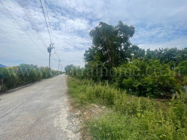 รหัสทรัพย์ : N0950ที่ดิน ตำบลบางเสาธง อำเภอบางเสาธง จังหวัดสมุทรปราการ เนื้อที่ 1 ไร่ที่ตั้ง : ซอยสุขใจ ตำบลบางเสาธง อำเภอบางเสาธง จังหวัดสมุทรปราการ 10570รายละเอียดทรัพย์- ที่ดินเนื้อที่ทั้งหมด 1 ไร่&nbsp; หน้ากว้าง 35.71 เมตร&nbsp; ลึก 45 เมตร ถนนหน้าที่ดินเป็นคอนกรีตกว้าง- ที่ดินเหมาะสำหรับปลูกบ้านพักอาศัย หรืออื่นๆ (ติดต่อเซลล์เพื่อปรึกษาได้)- ที่ดินอยู่ในเขตพื้นที่สีเขี�